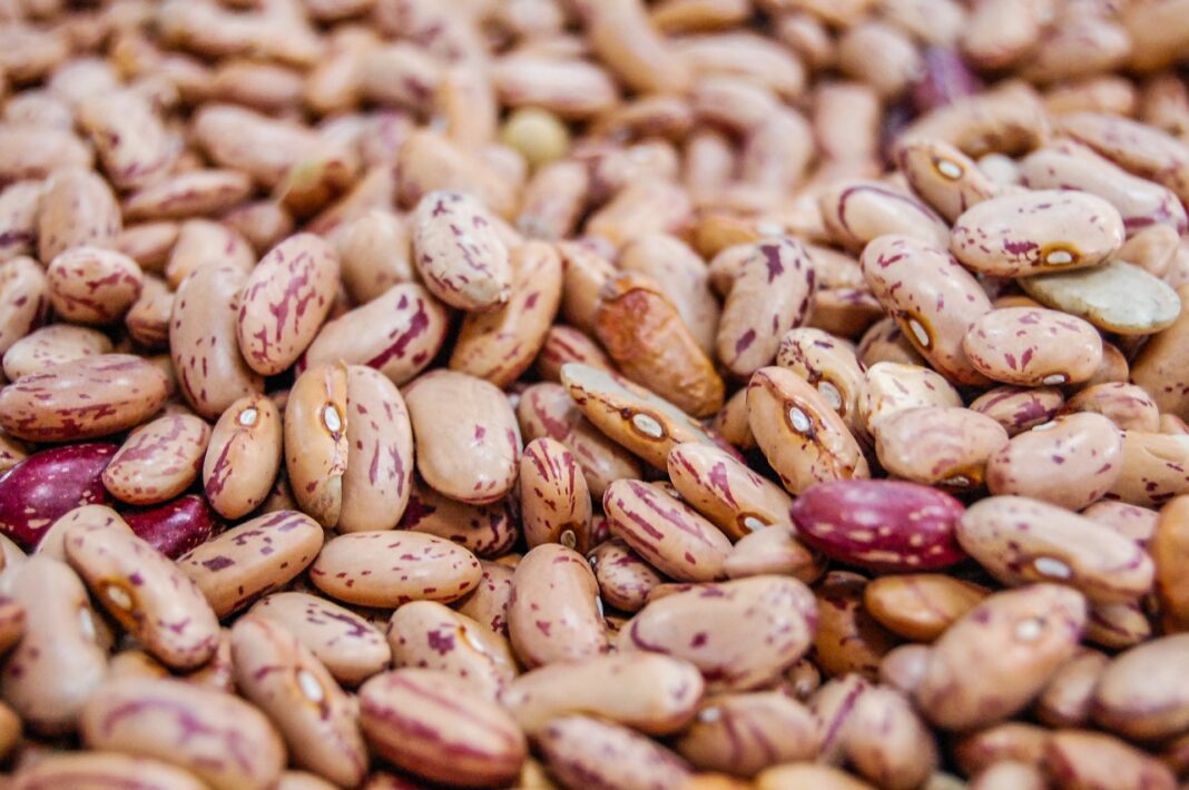 can diabetics eat pinto beans